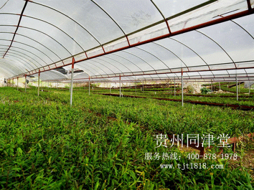 4fdea5b42356e58d0e1906a14bea5dfd_1811291229411287989063